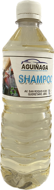 Shampoo espuma México 