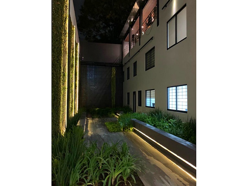 Diseño Exterior Jardín México