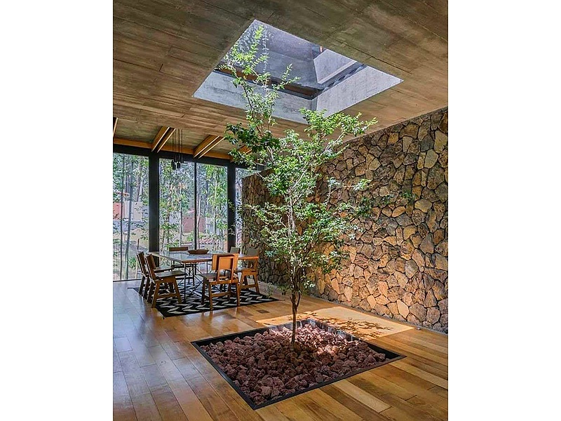 Diseño Interior Jardín México