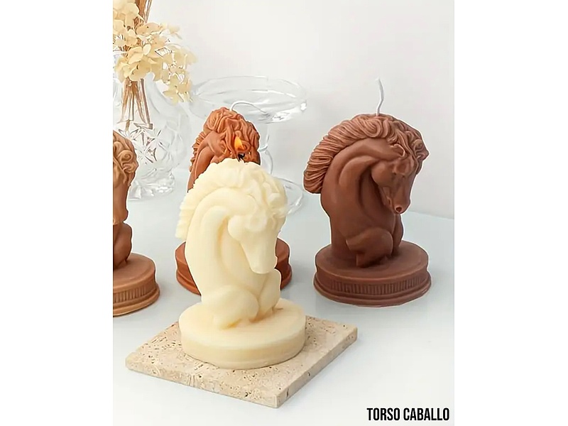 VELA TORSO CABALLO MÉXICO