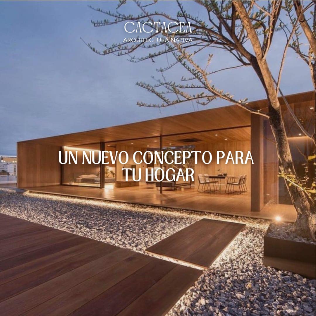 Diseño  solo espacio  México