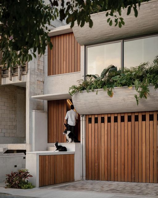 Diseño casa Olivas México