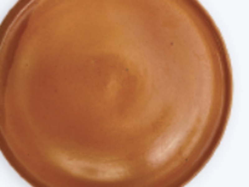 PLATO POSTRE NARANJA TAPALPA MÉXICO