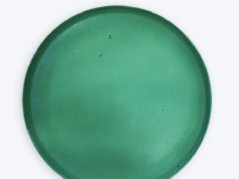 PLATO TRINCHE VERDE TAPALPA MÉXICO