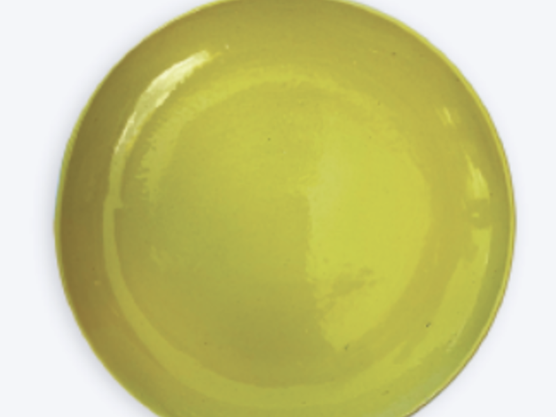 PLATO TRINCHE AMARILLO TAPALPA MÉXICO