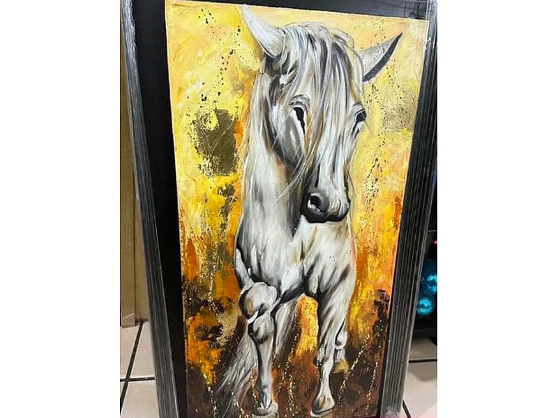 Cuadro Decorativo Caballo Blanco México