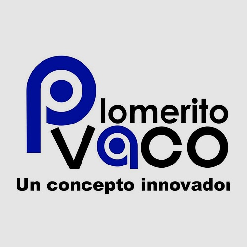 Plomerito Vaco