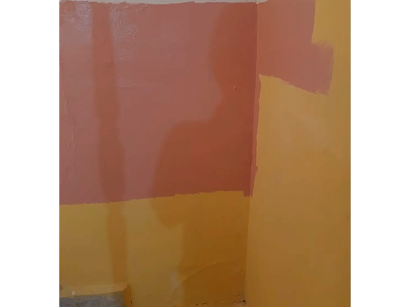 Servicio pintura casa Mexico