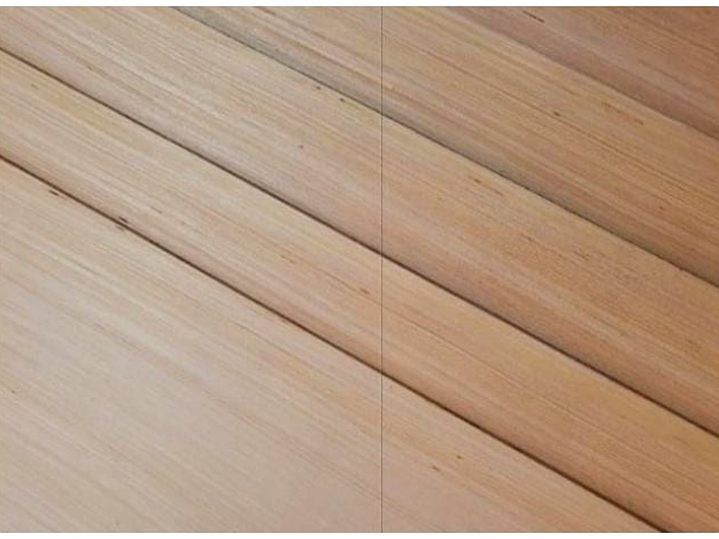 Madera de zebrano Mexico TDL Triplay León