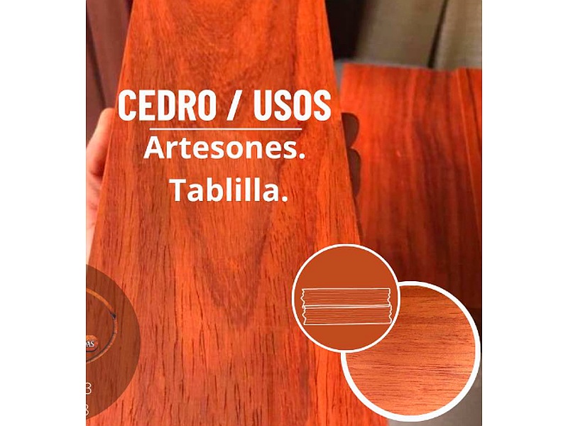 Tablilla de Cedro México