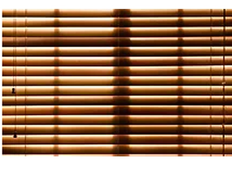 Cortinas para edificaciones México Cellar vinyl flooring and carpets