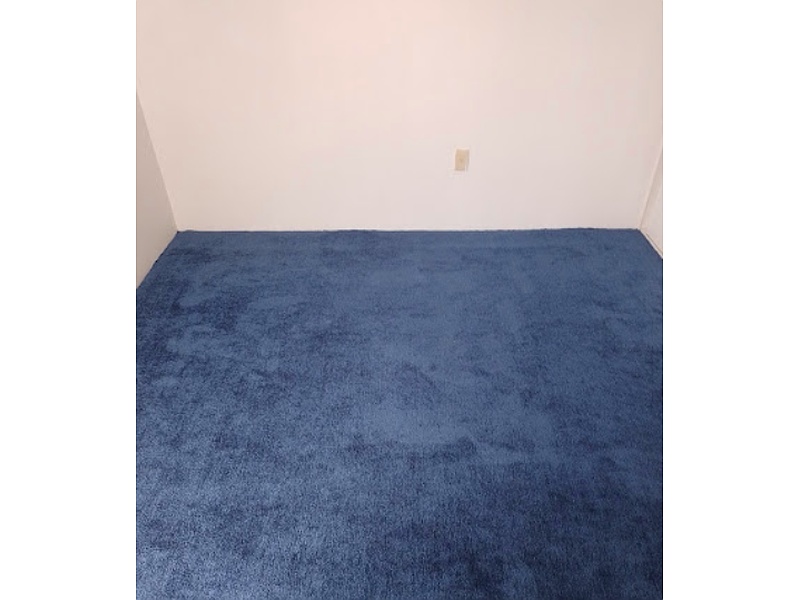Alfombra elegante clásica México