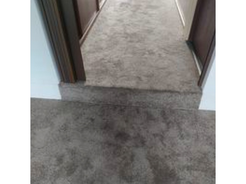 Instalacion de alfombra en piso Mexico