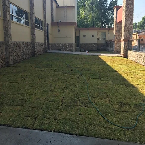 INSTALACIÓN DE PASTO NATURAL Y SINTÉTICO MEXICO