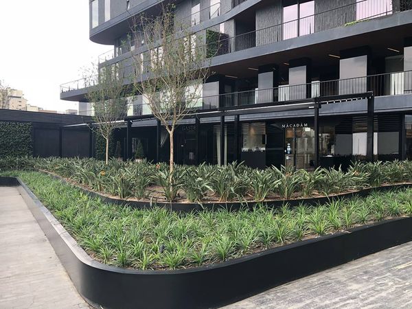 Proyecto Terrazas High Park CDMX