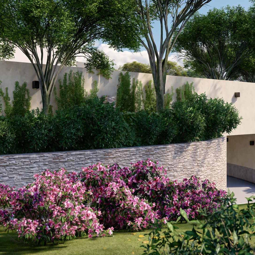 Diseño de Jardin CDMX