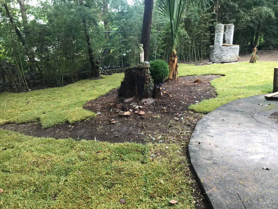 Diseño de Jardines CDMX