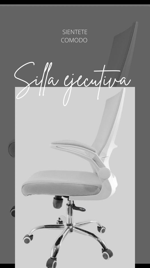 Silla Ejecutiva Mexico