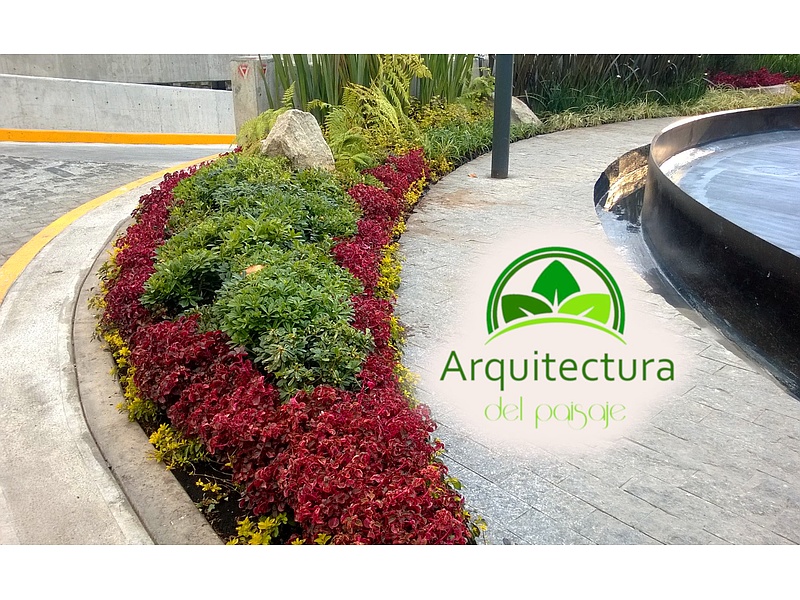 Diseño de jardines para albercas, México