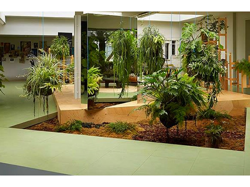 Diseño de jardin  interior institucional, México 