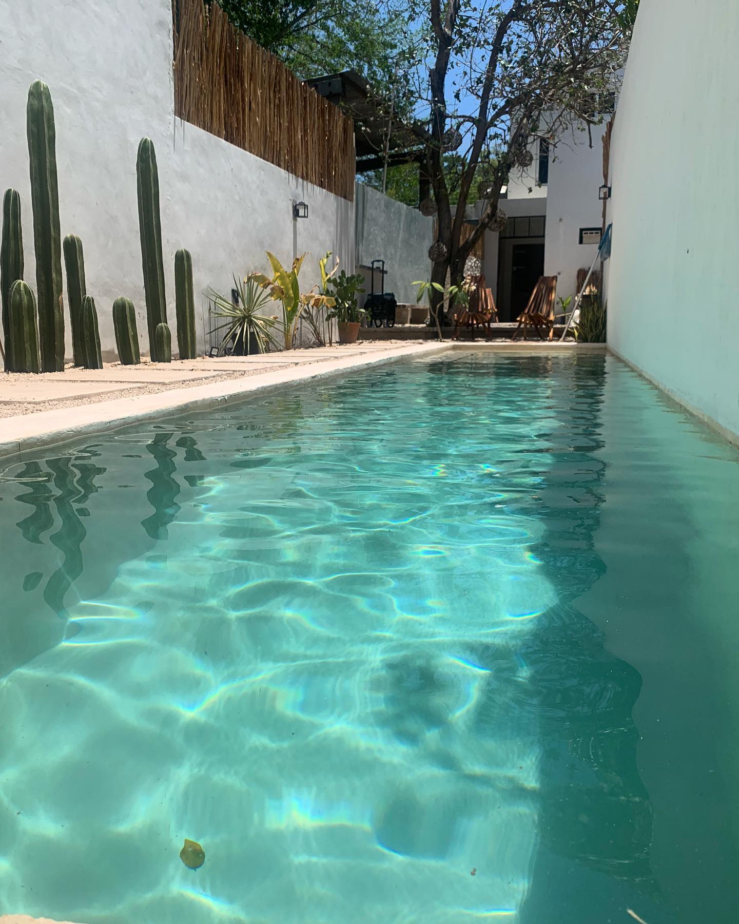 Construcción de Albercas México Arquitectura y Remodelación LAMH