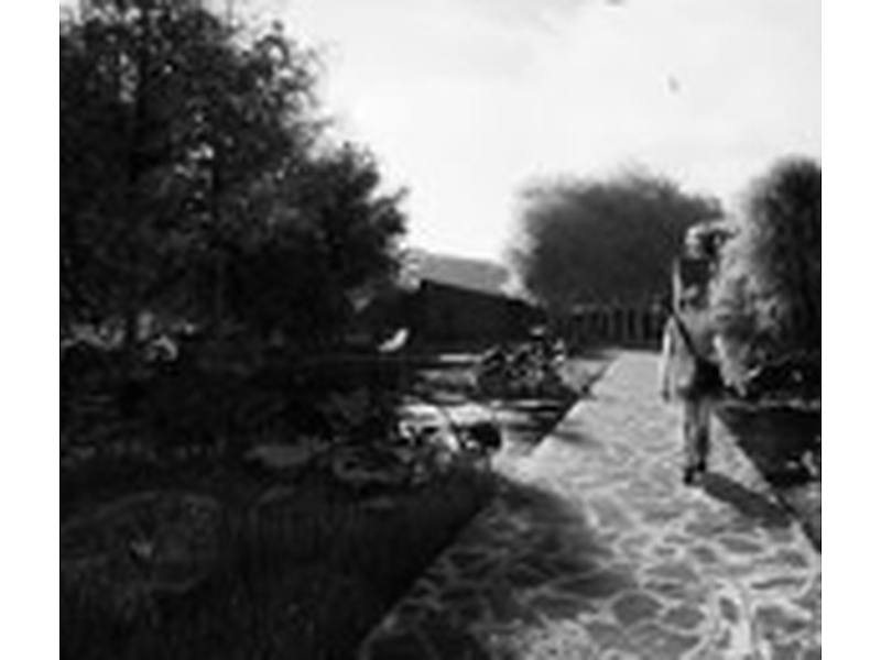 Anteproyecto de plano de arquitectura México MAI_ARQUITECTURA
