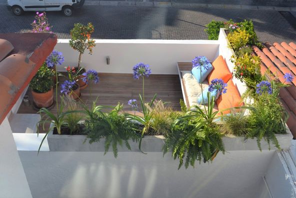 DISEÑOS DE JARDIN CDMX
