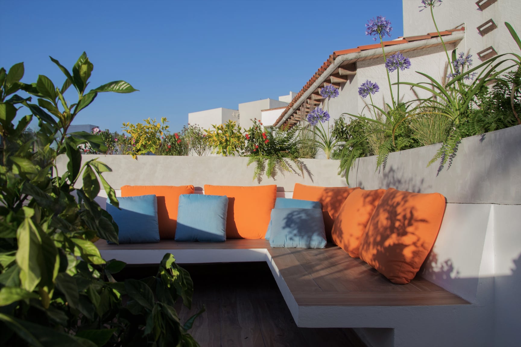 SOFAS CDMX