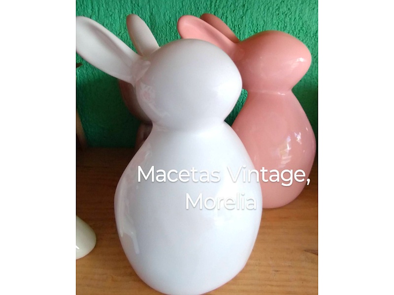 Jarrones Diseño de conejos blanco y rosa México