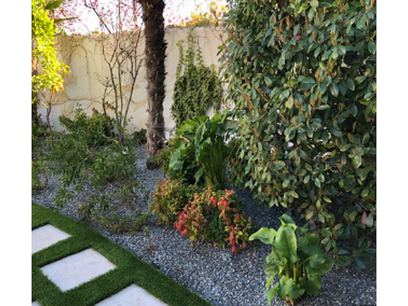 Diseño jardines Mexico