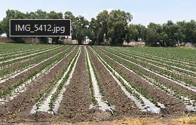 Plásticos Para el campo Mexico