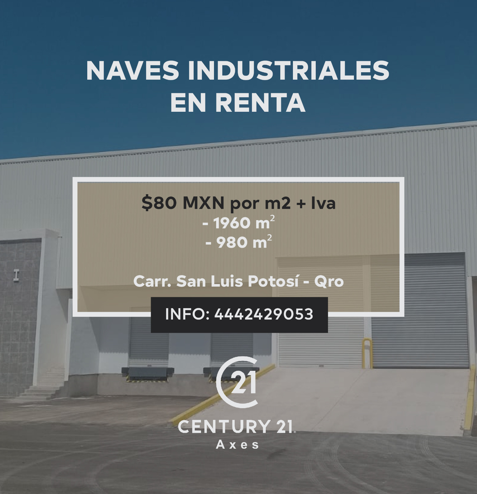 Encuntra la neve industrial a tu medida
