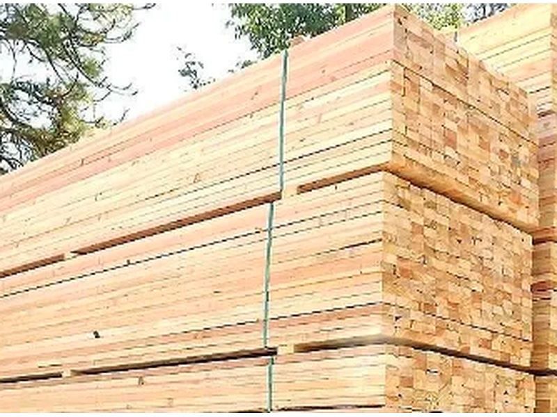 Madera nativa México