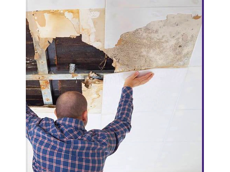 Mantenimiento de techos de madera con estructura México Constructora AMEF