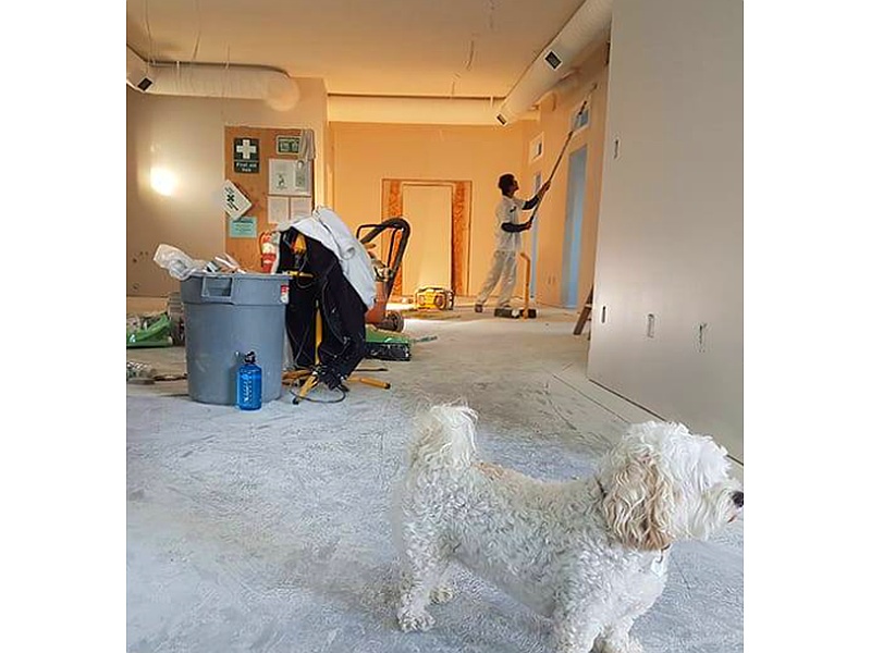 Pintado de interiores de departamento México Constructora AMEF
