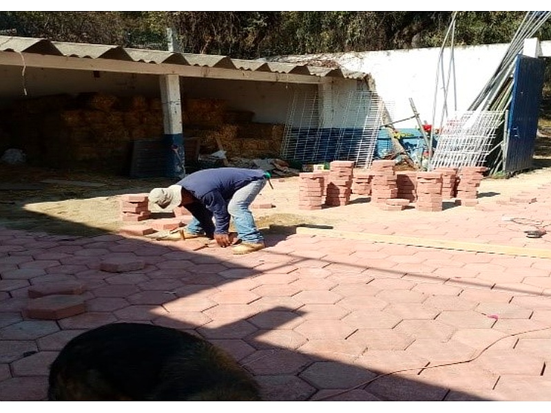 Instalación de pisos de exteriores de adoquines en patios México Constructora AMEF