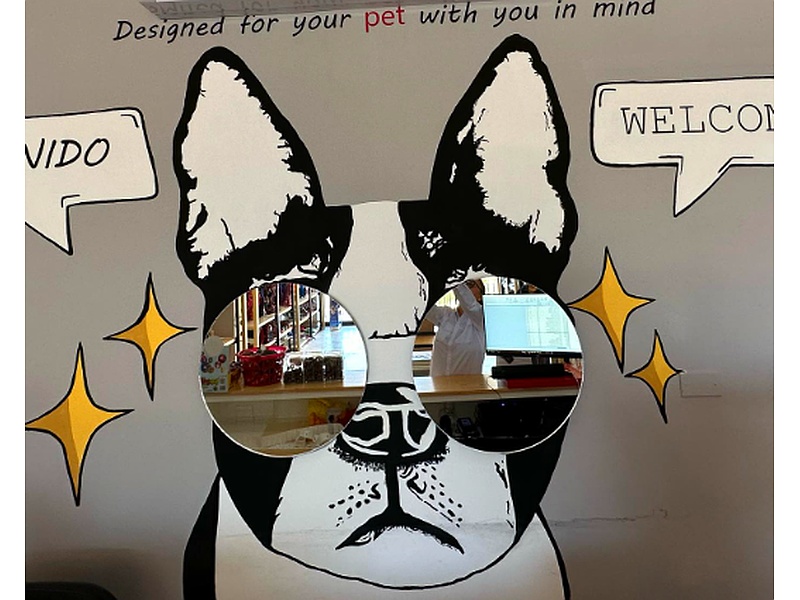 Espejos Decorativos Diseño Perro Tabasco Gabriela D' Vaca Arquitectura
