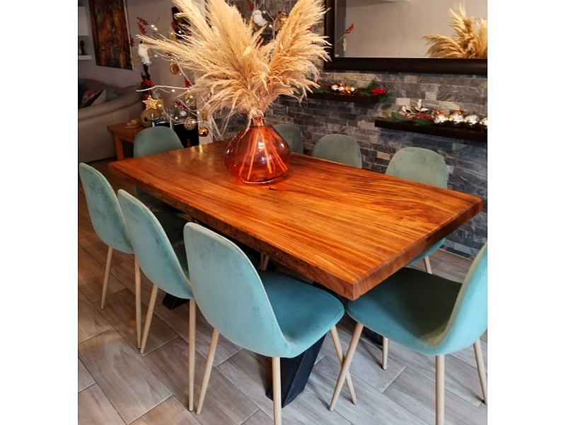 COMEDOR DE PAROTA INNOVO MEXICO