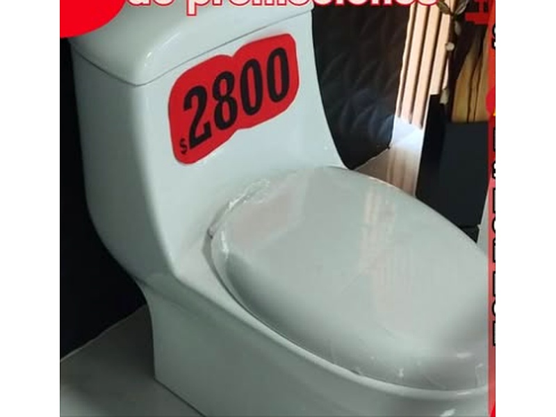 Sanitario Nemesis México