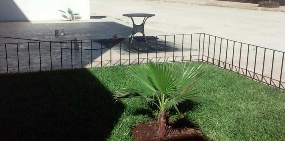 Servicio de Herrería para Protección de Jardín México
