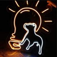 Diseño e Iluminación Parral