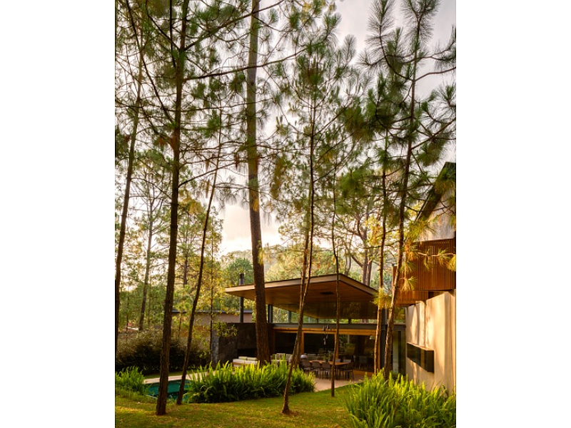 Diseño de jardines México