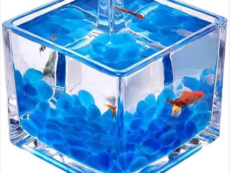 Acuario mini transparente