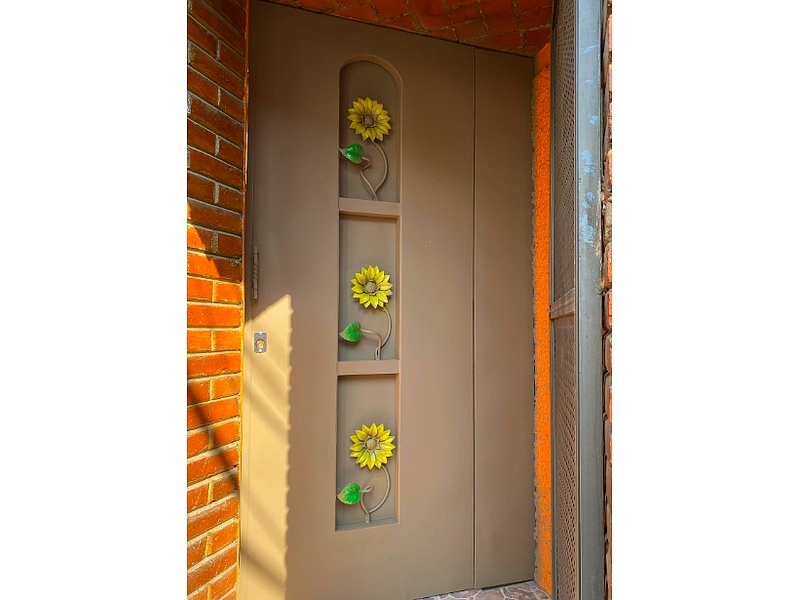 puerta peatonal con diseño CDMX Puertas Automáticas Roach