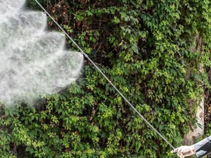 Fumigaciones Industriales en Guadalajara