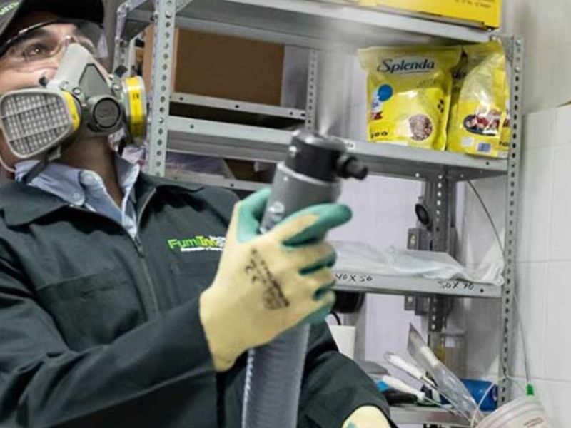 Control de plagas 24 horas en Puebla
