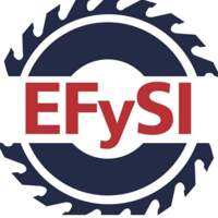 EFYSI