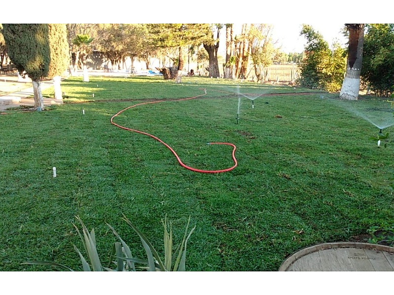 Instalación de pasto venta e instalación de pasto México