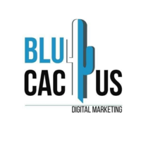 BluCactus