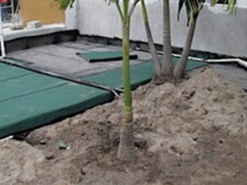 Roof Garden jalisco mexico